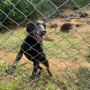 Fundraising Page: Estevan Vargas